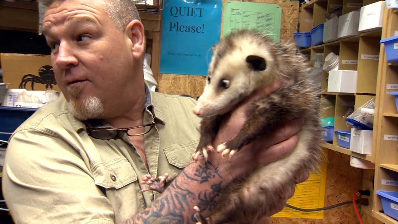 POSSUM REHAB