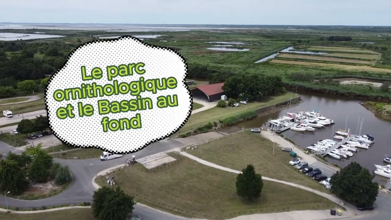 Visite au Teich