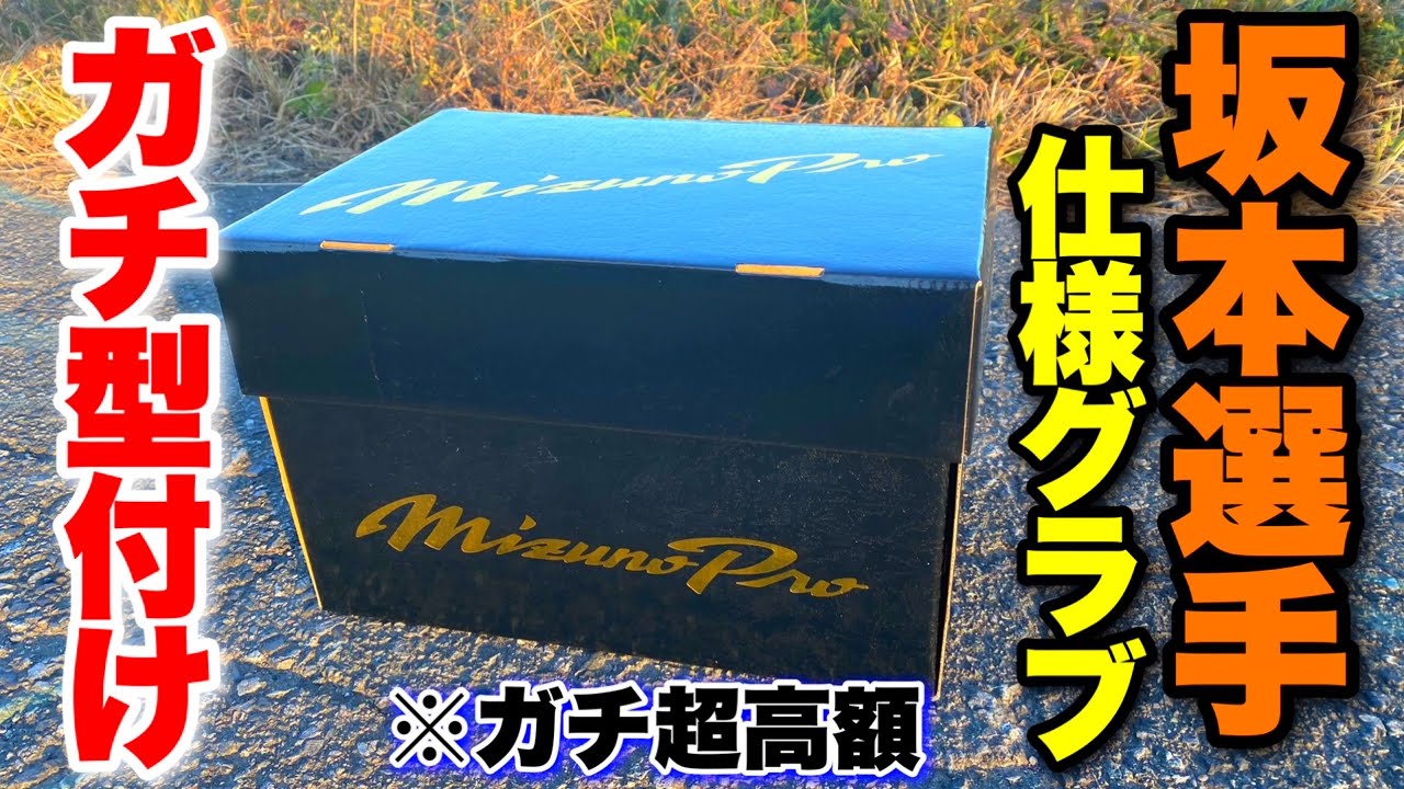 【神回】坂本勇人選手と同じグラブを型付けしてみた...超高額ミズノプロ！