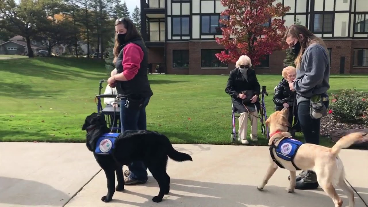 Paws With A Cause dog parade at assisted living facility