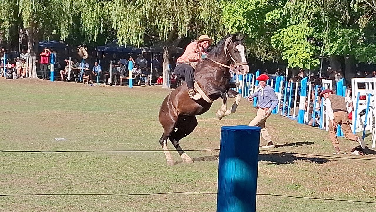 La fiesta de los vascos en Rinconada Pampa #caballos #jineteada #horse #destacar #parati #argentina