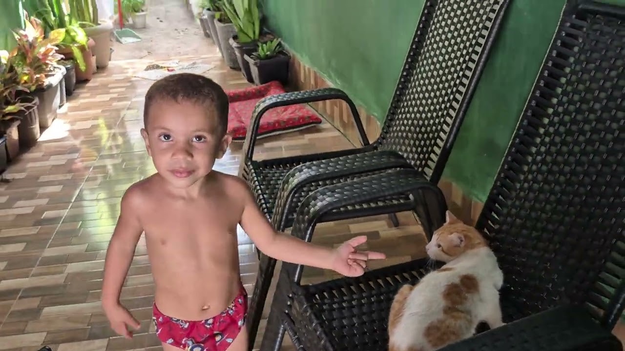Tirando a paz do gato 🐱 