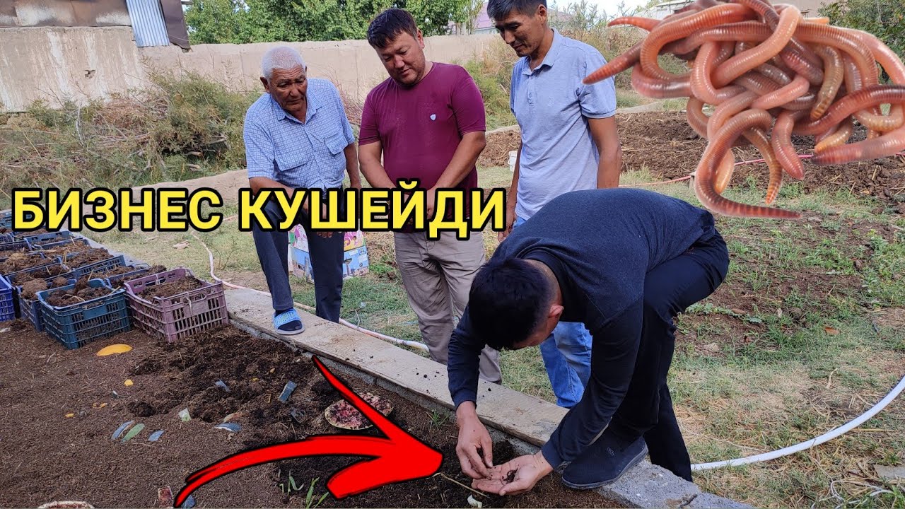 ХОЖЕЛИДЕ КУРТ БИЗНЕСИ КУШЕЙДИ