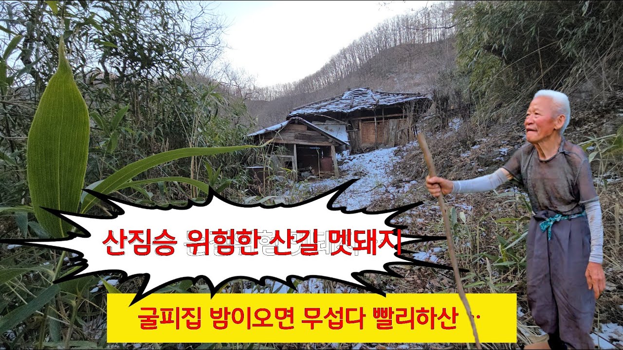  굴피집  겨울밤  멧돼지 산짐승 무섭다 빨리 내려가자ᆢ
