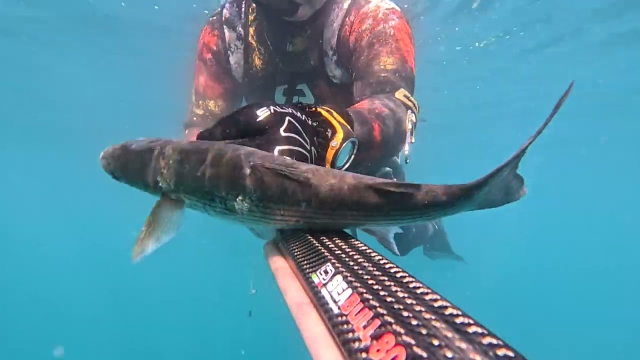 pescasub: nuova configurazione al sea bull 80 di cetma composites