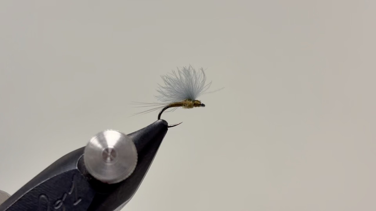 Tying The CDC BWO