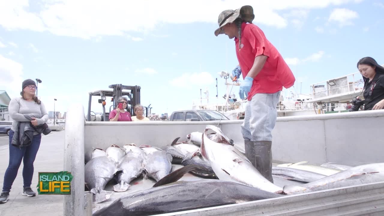 Find specialty seafood items at Pier 38 Fish Market