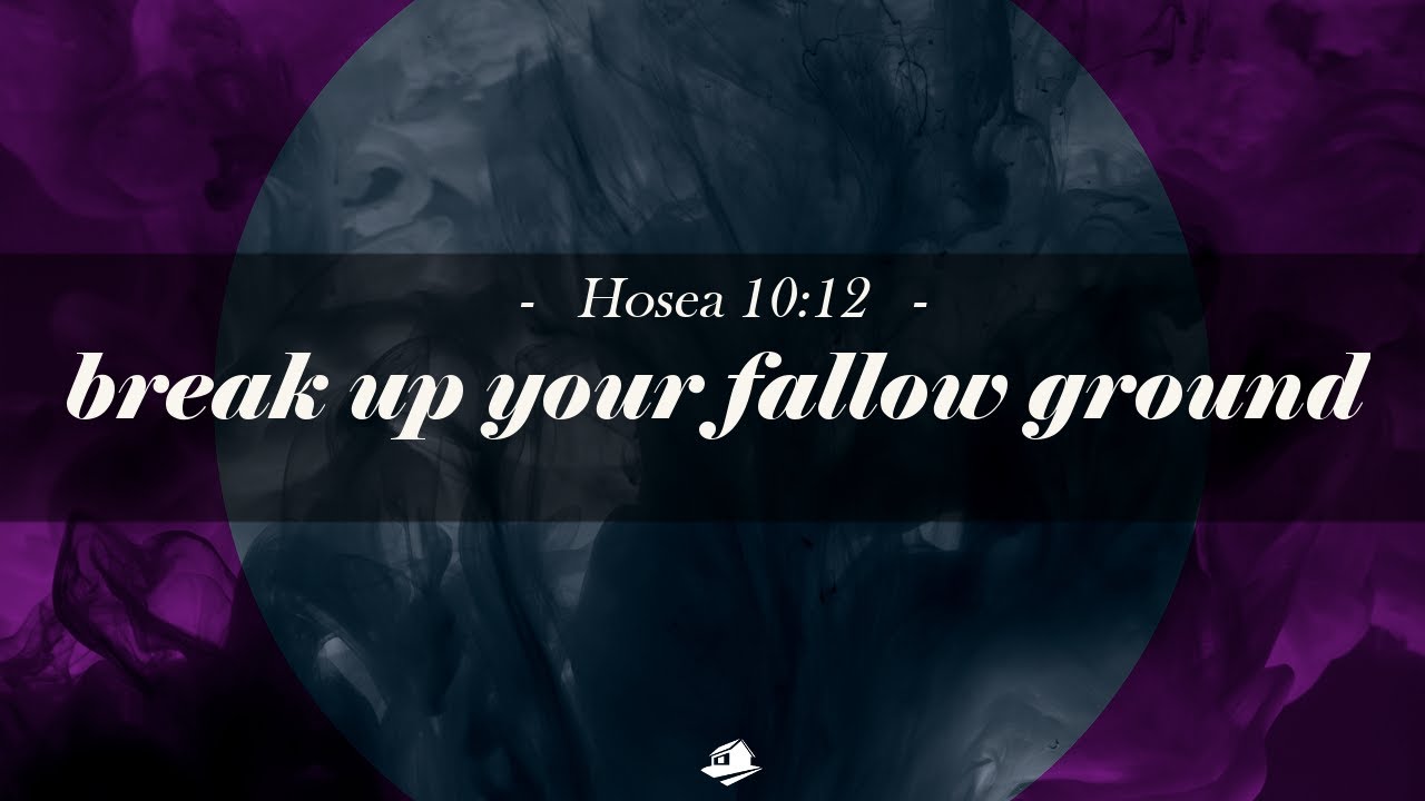 Break Up Your Fallow Ground