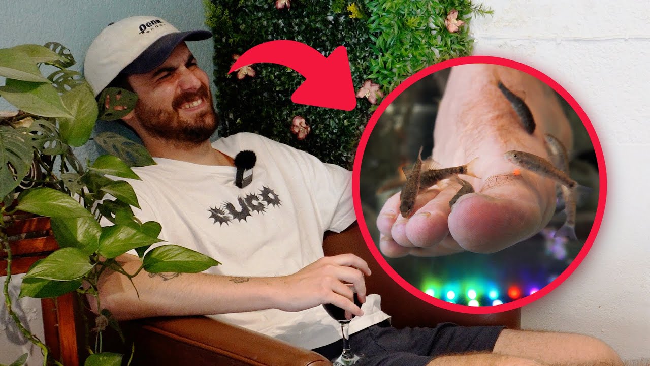 Lloré con terapia de peces en CDMX | Daniel probando cosas