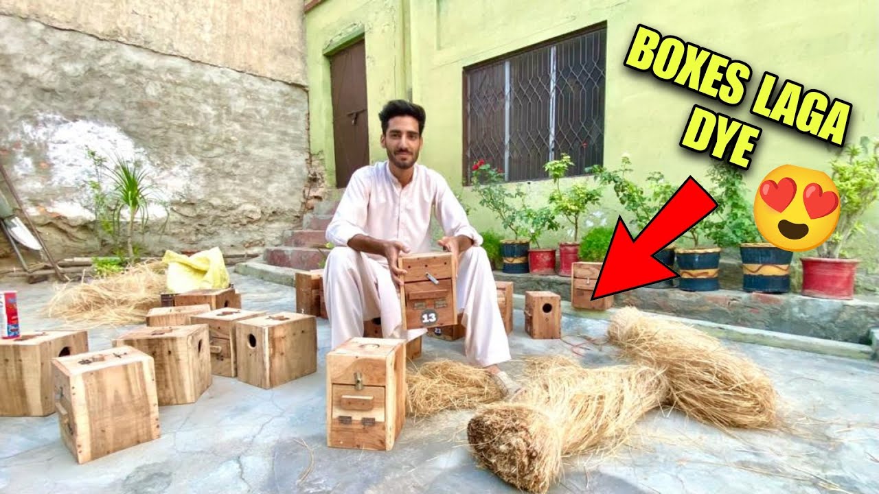 ABU KI HATHON SE BOXES LAGA DYE