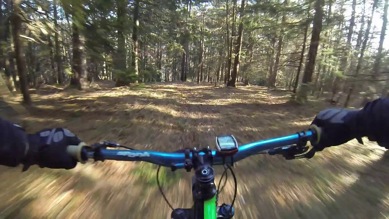 Quick Slick Gimbal Test - MTB