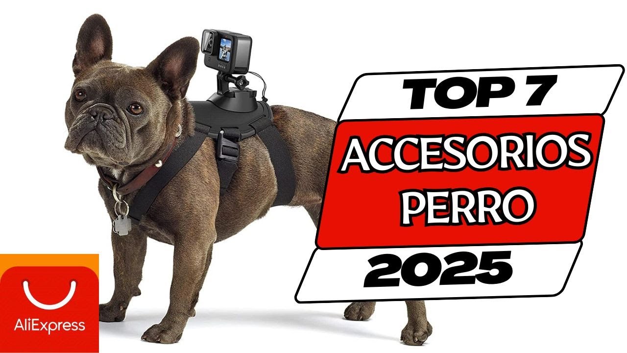 🥇Los 7 mejores ACCESORIOS PARA PERROS Buenos y Baratos | Mejor valorados ALIEXPRESS⭐2025✅