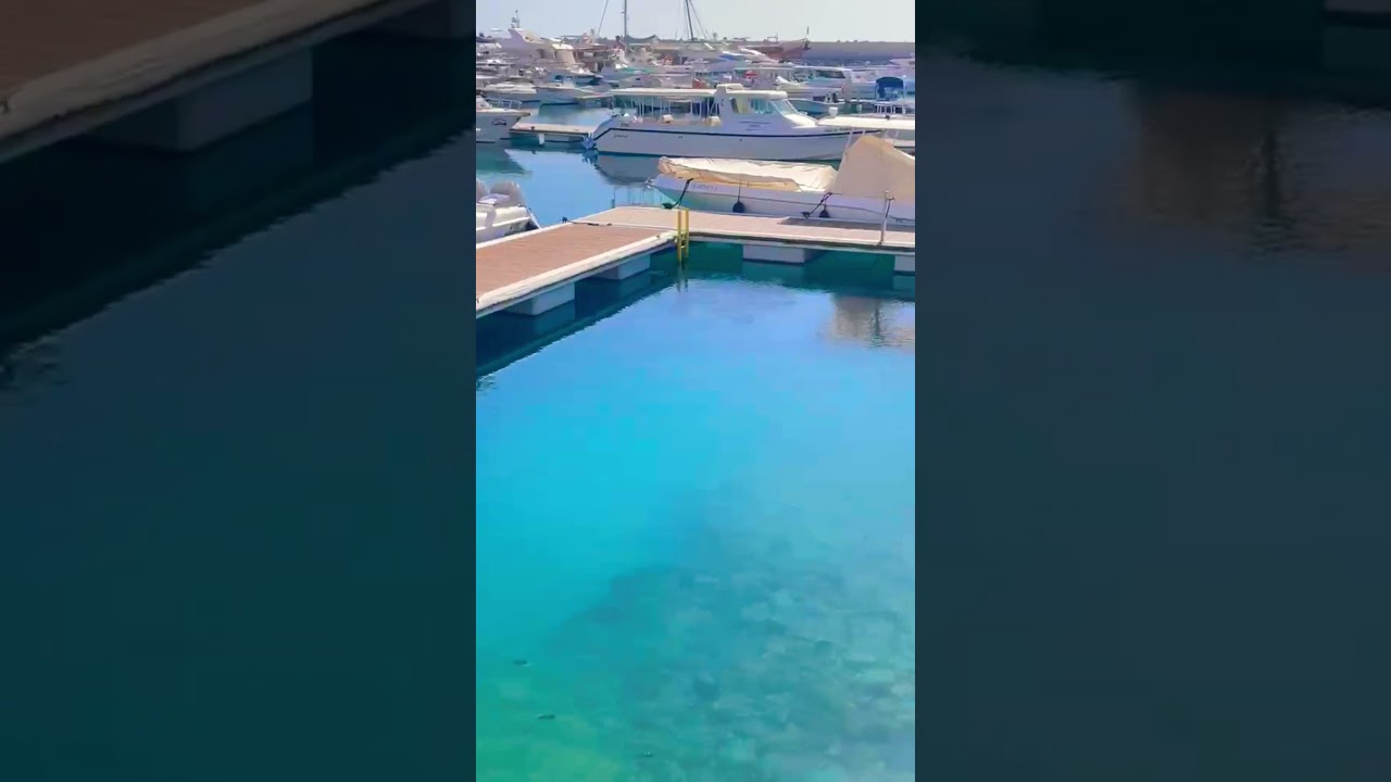 Oman Sea 🌊#tamilsong #omanshorts #omansea#omancoast#muscat #kuwait #karachi #shorts #uae #abudhabi