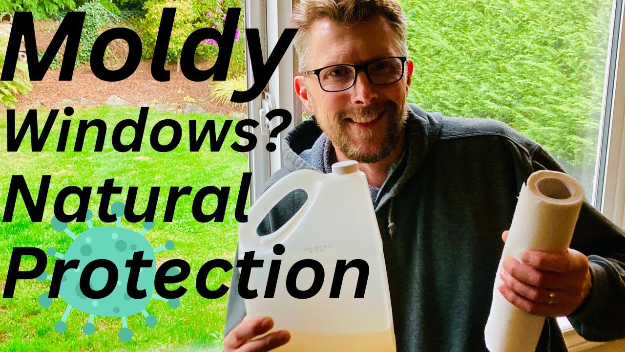 How to Naturally Clean Mold & Mildew from Windows