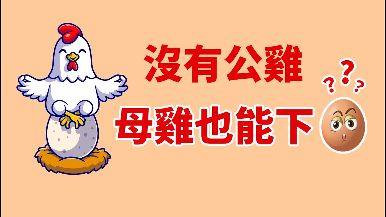 母雞不用交配也能下蛋， 這樣的雞蛋有區別嗎？