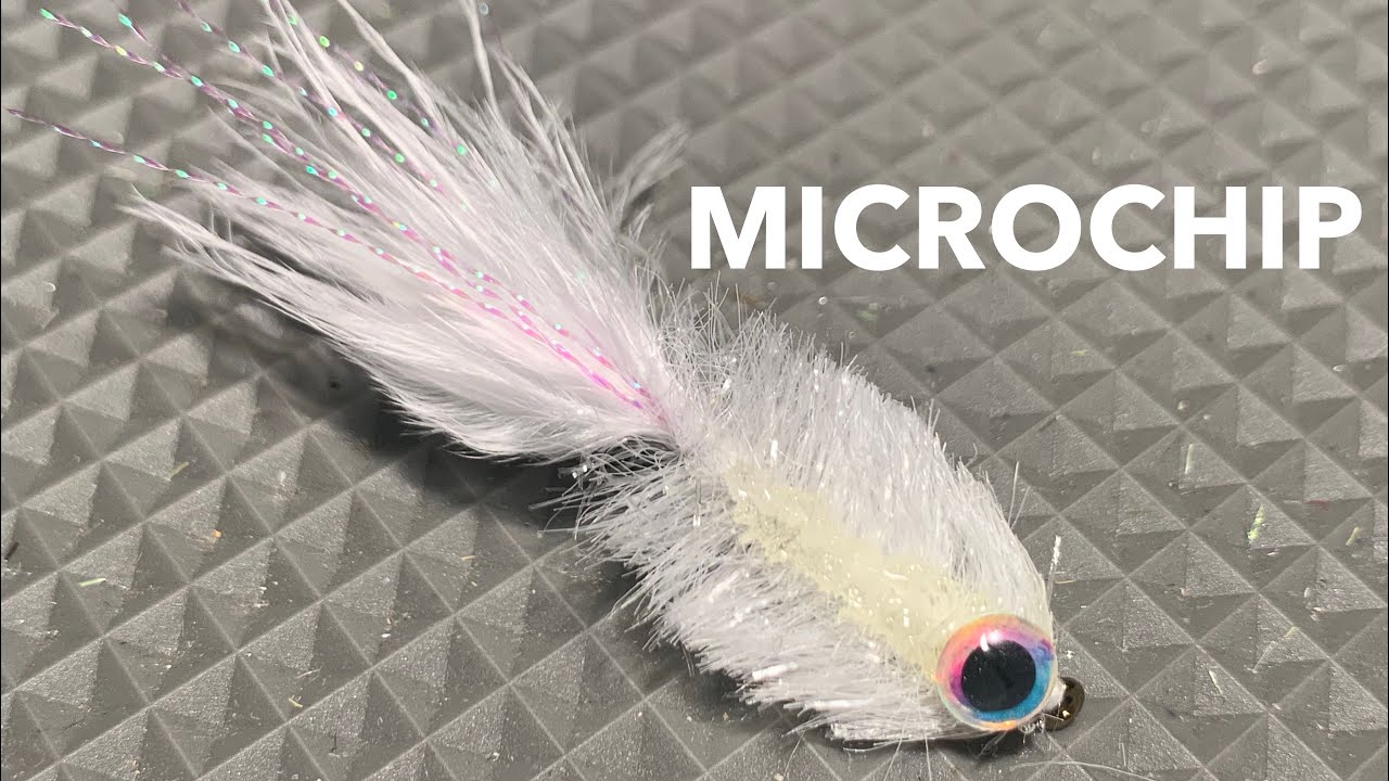 MICROCHIP - Secret Weapon for Low Water Smallmouth Bass !