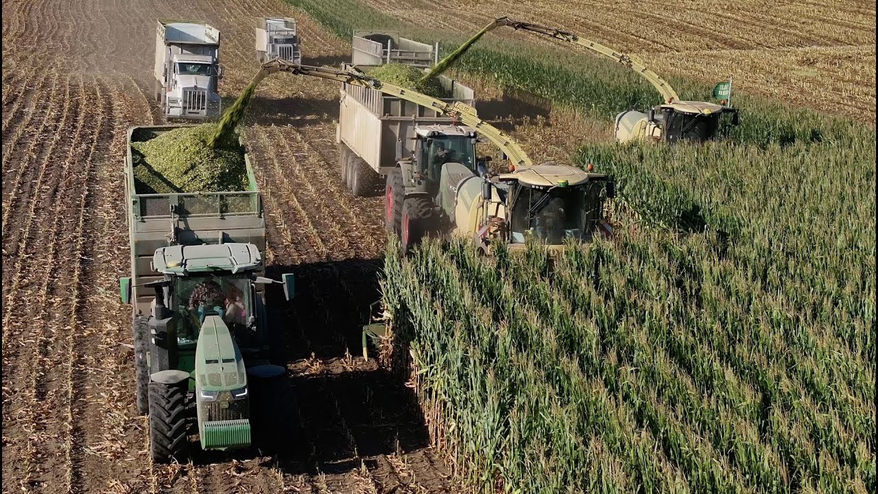 Corn Silage Harvest 2025 | Klein&rsquo;s Custom Chopping with Krone Power | Settings&mdash;Higher-Quality 