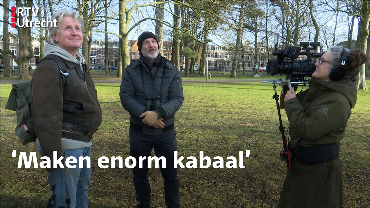 Eddy Zoëy over de halsbandparkiet | RTV Utrecht