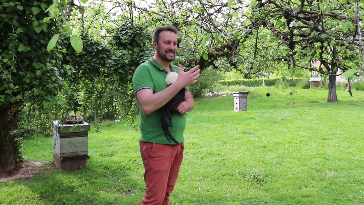 Reportage AVIPASSION chez Sébastien LEVRET