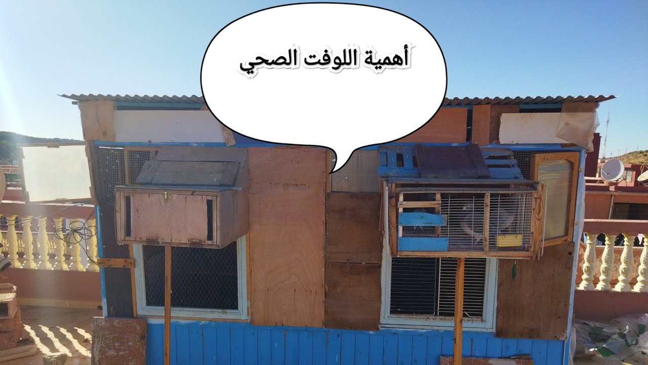 توليعة 🤩+استفادة فخاطر لحباب كلشي ديال الله