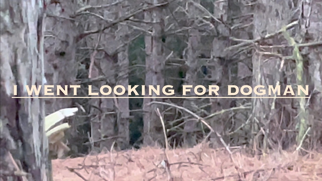 I Went Looking For Dogman #wildlife #dogman #bigfoot #cryptids