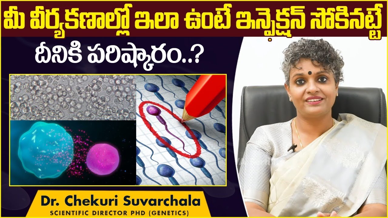If your cells look like this | Pus Cells in Semen Analysis Report || Dr C Suvarchala || Ziva Fert...