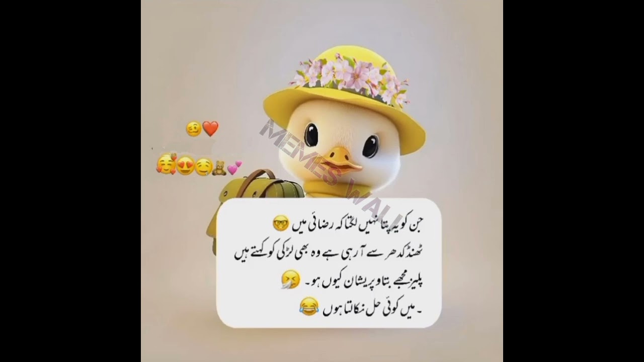 Sardi funny memes | winter jokes | December funny poetry| Urdu Funny videos