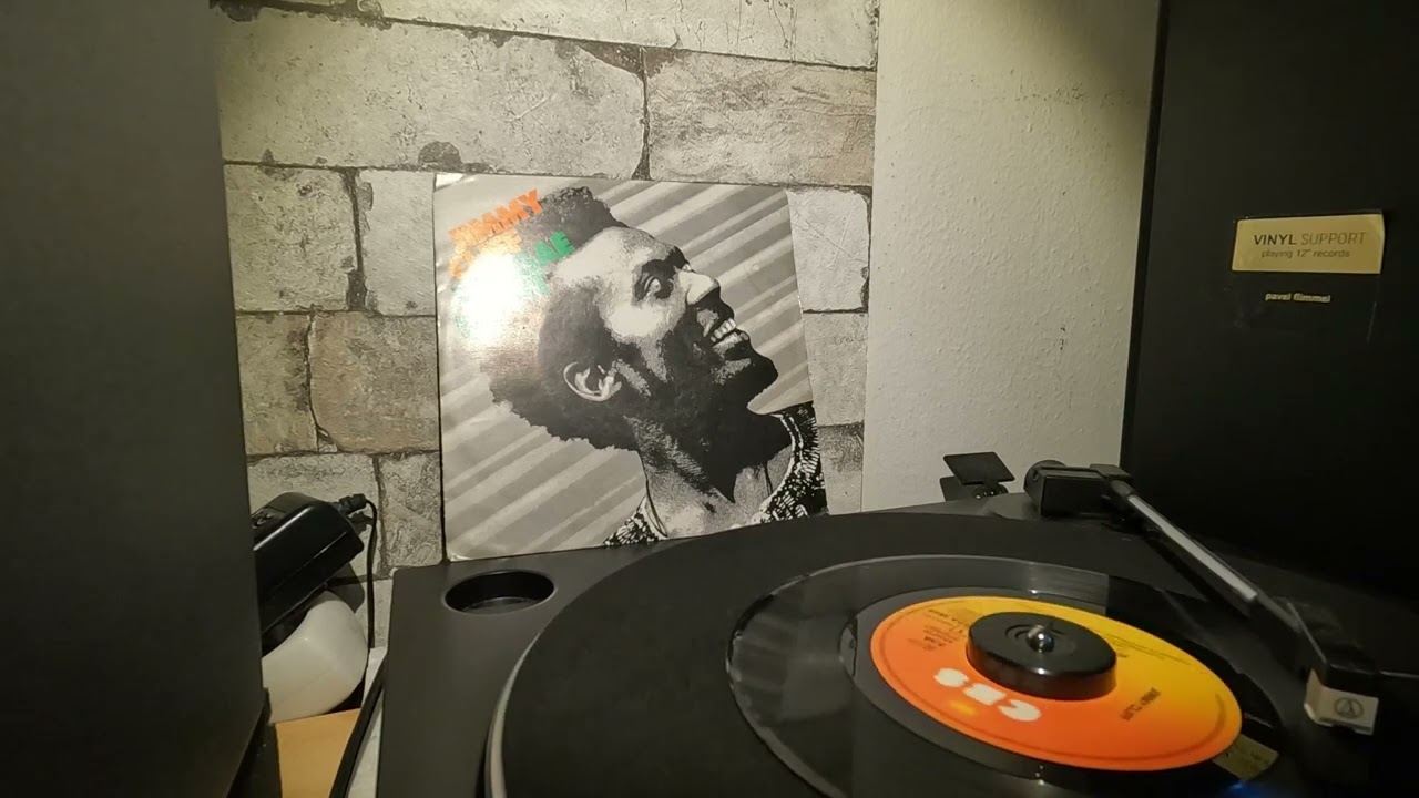 Jimmy Cliff -  Reggae Night 1983 (7