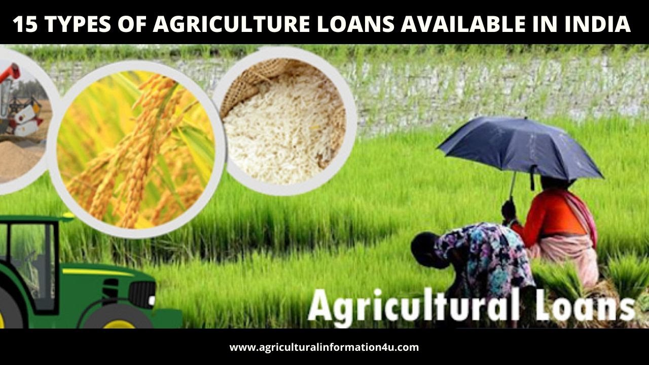 Agriculture loans: How many types of agriculture loans are available to farmers in India?