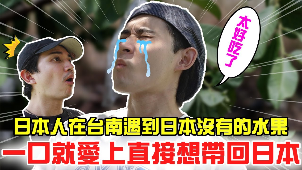 日本人在台南遇到日本沒有的水果 一口就愛上直接想帶回日本