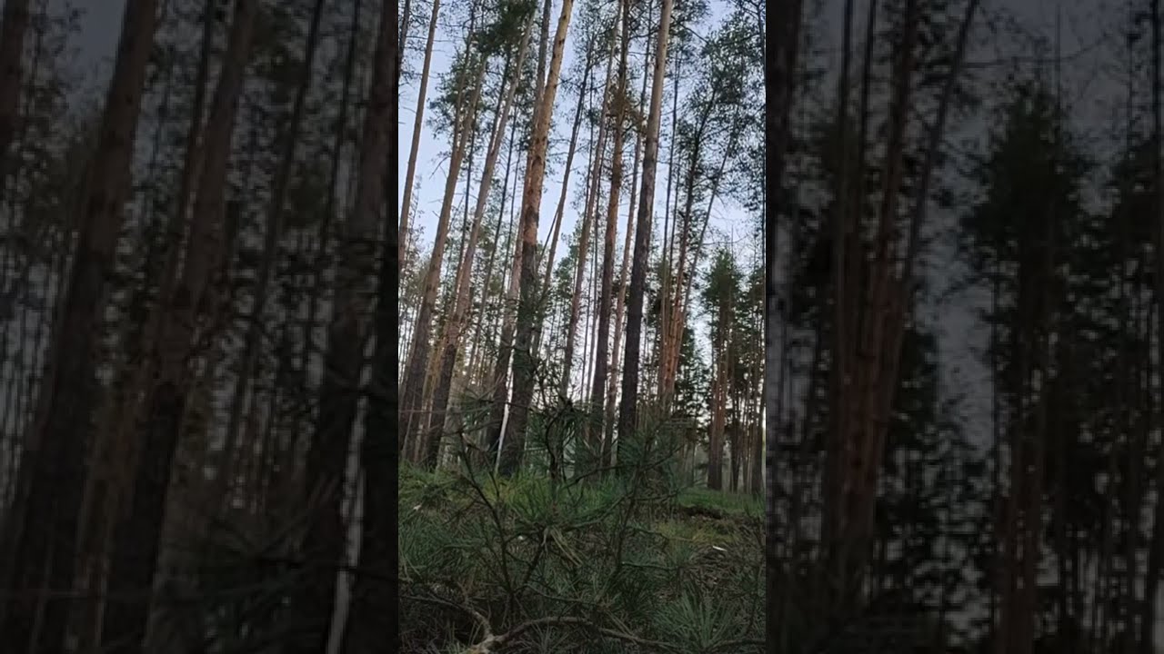Ukraine - 18.10.2022. Ukrainian Soldier Recording Russian Artillery Shelling His Units Positions.