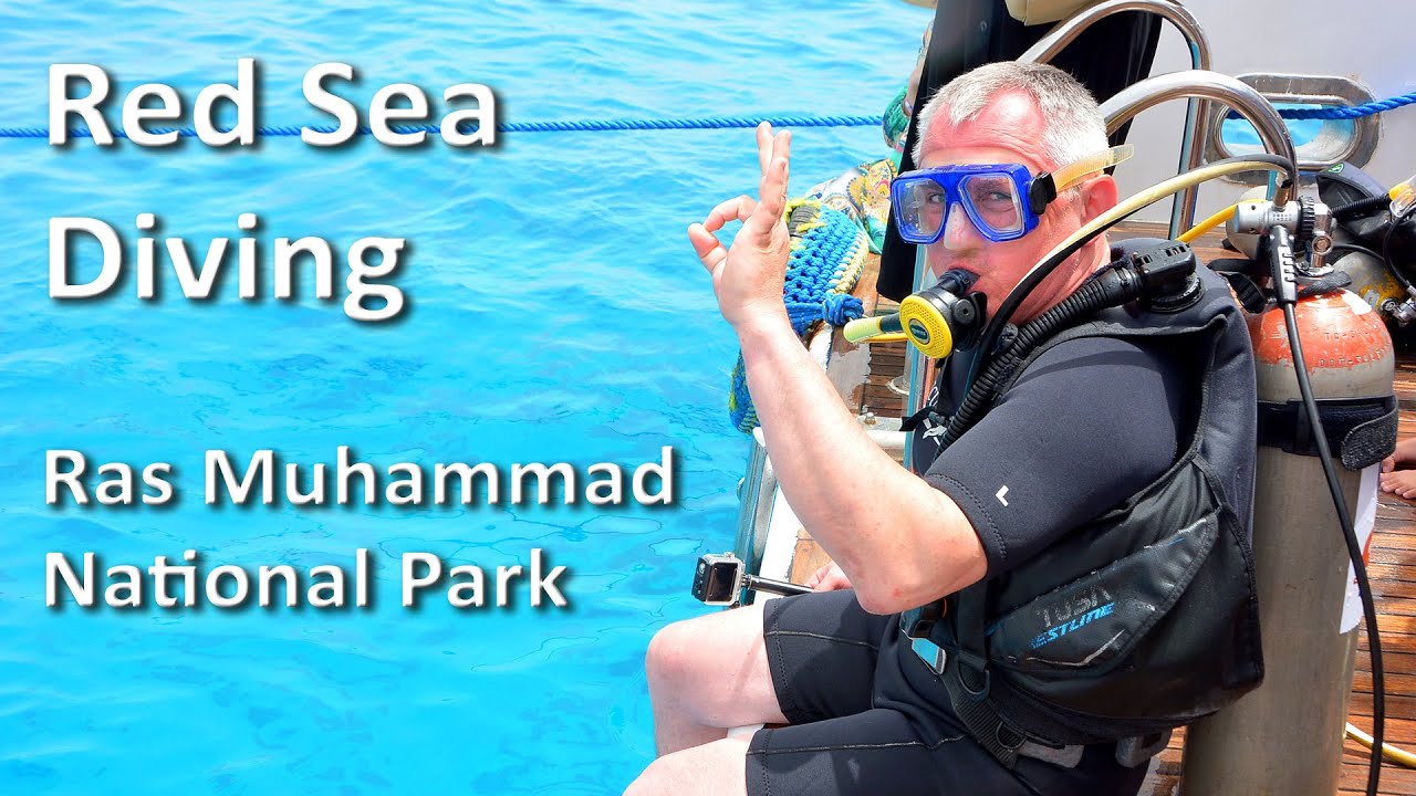 Red Sea Diving - Ras Muhammad National Park
