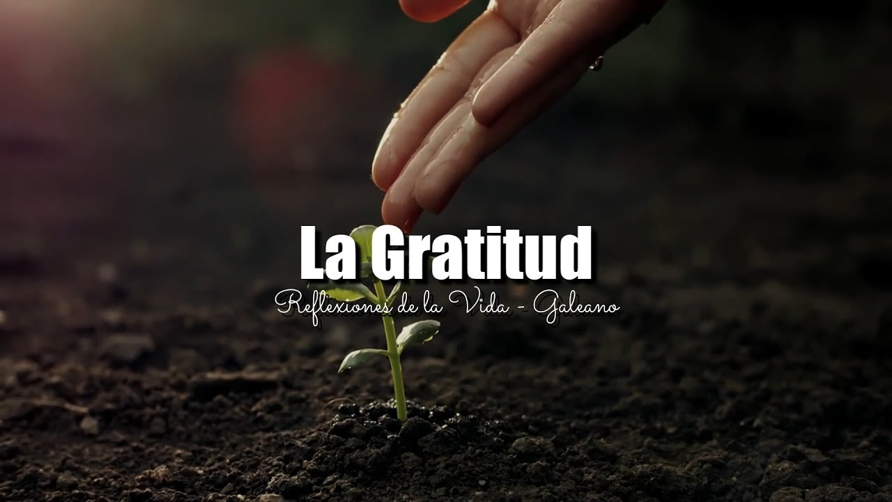 LA GRATITUD | Frases sobre la gratitud