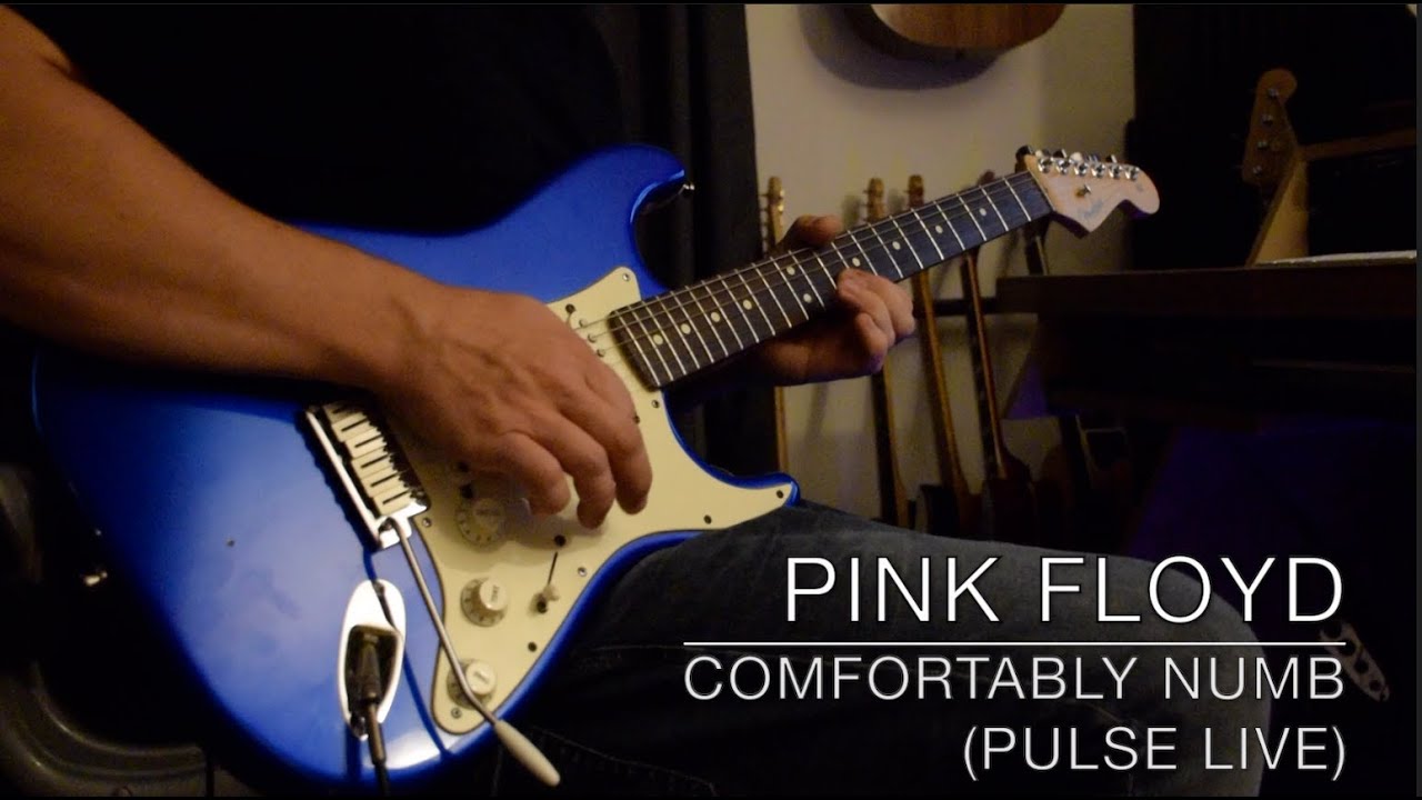 Pink Floyd - Comfortably Numb (PULSE) - Guitar Solo Cover