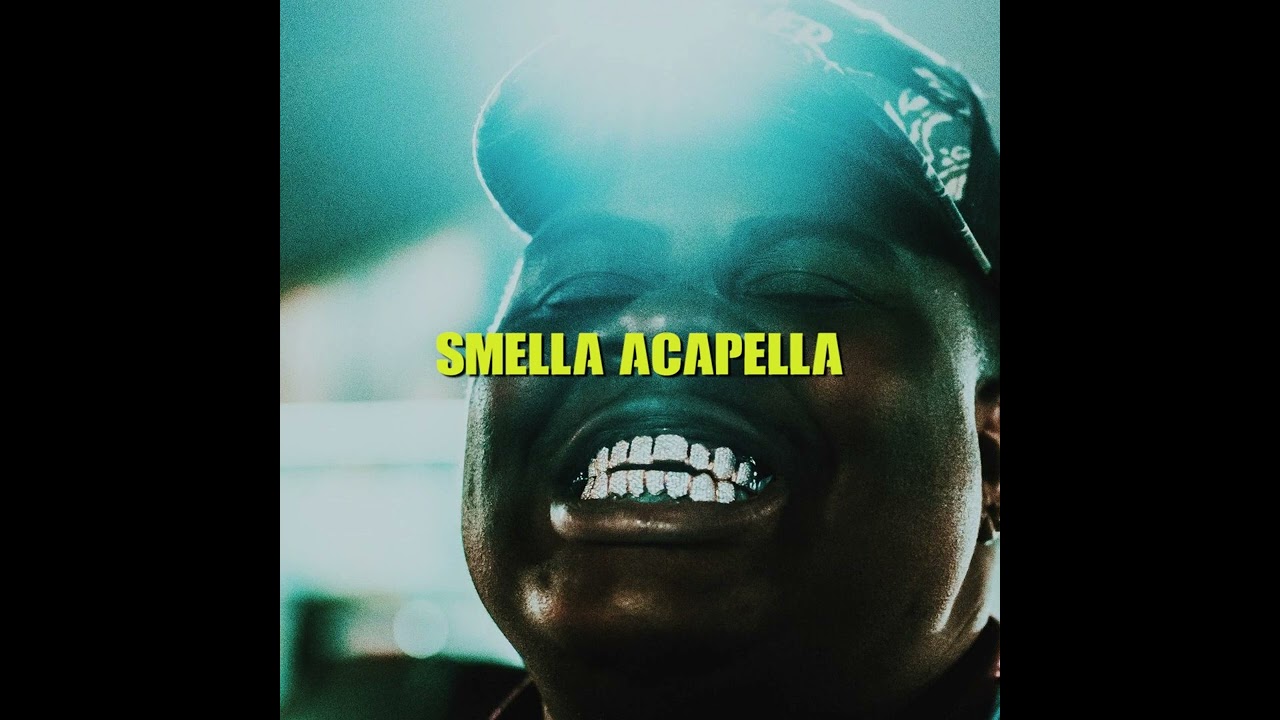 BigXThaPlug - Whip It (133 BPM Acapella)