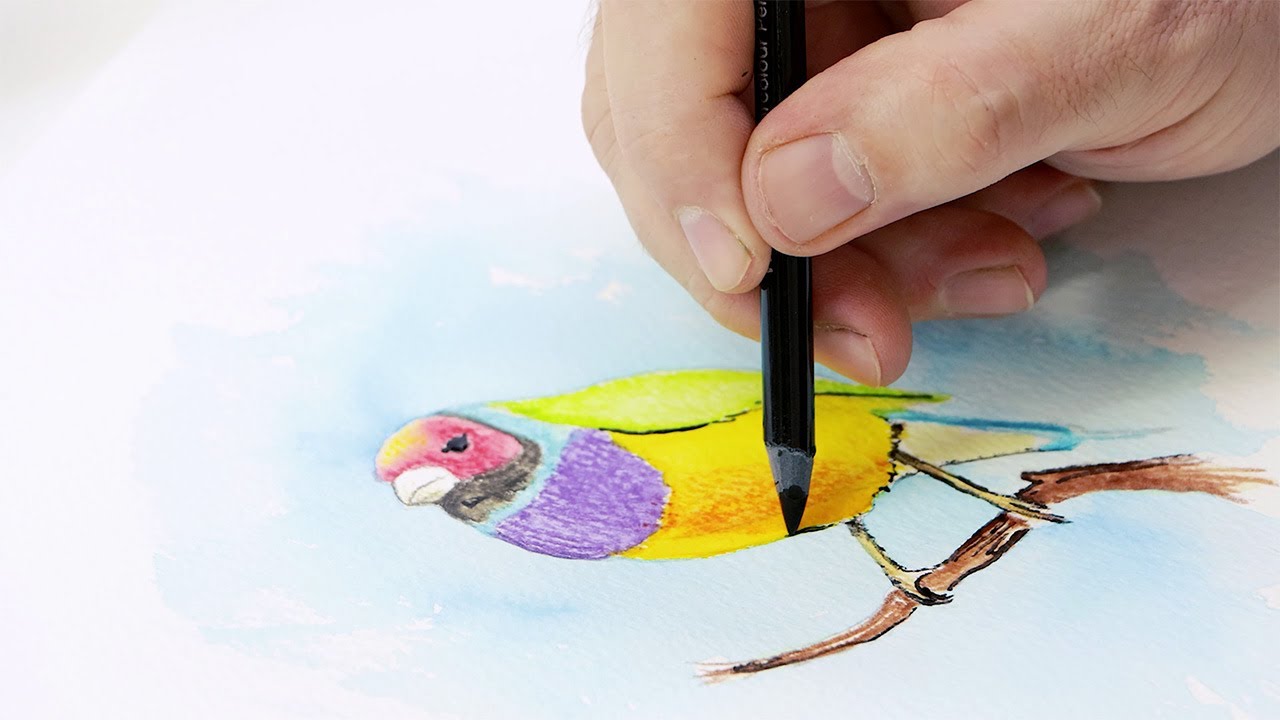 How to: use watercolour pencils