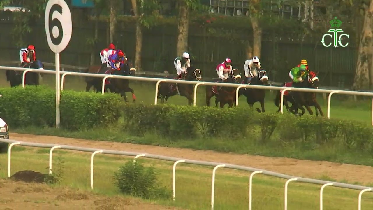 Race No 154 The Aperitivo Cup