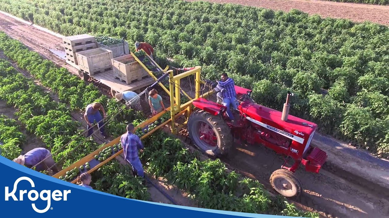 Harriman Farms | Kroger Partners | Kroger