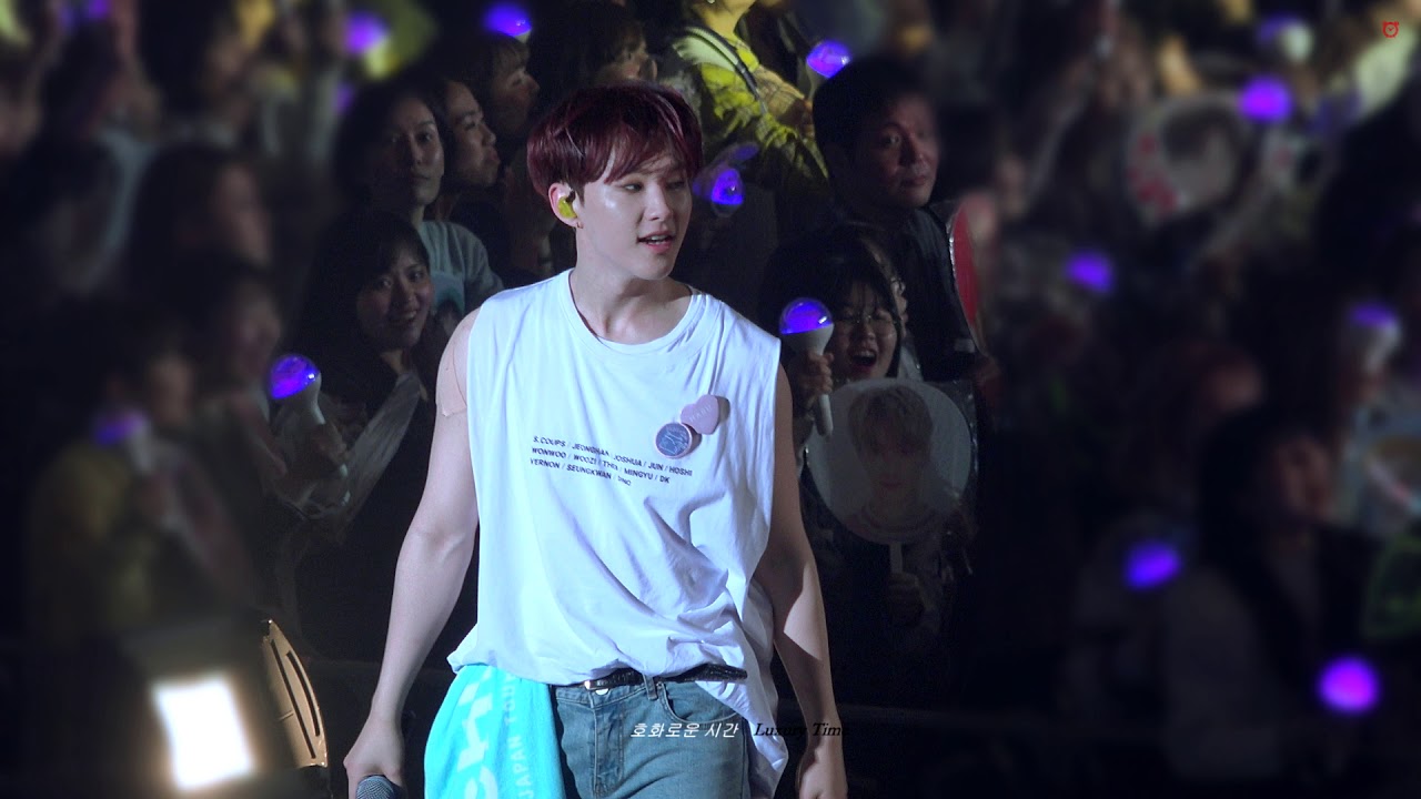 190403 (대지진캠 주의) "Holiday" 세븐틴 일본 콘서트 HARU in FUKUOKA SEVENTEEN 호시 직캠 HOSHI