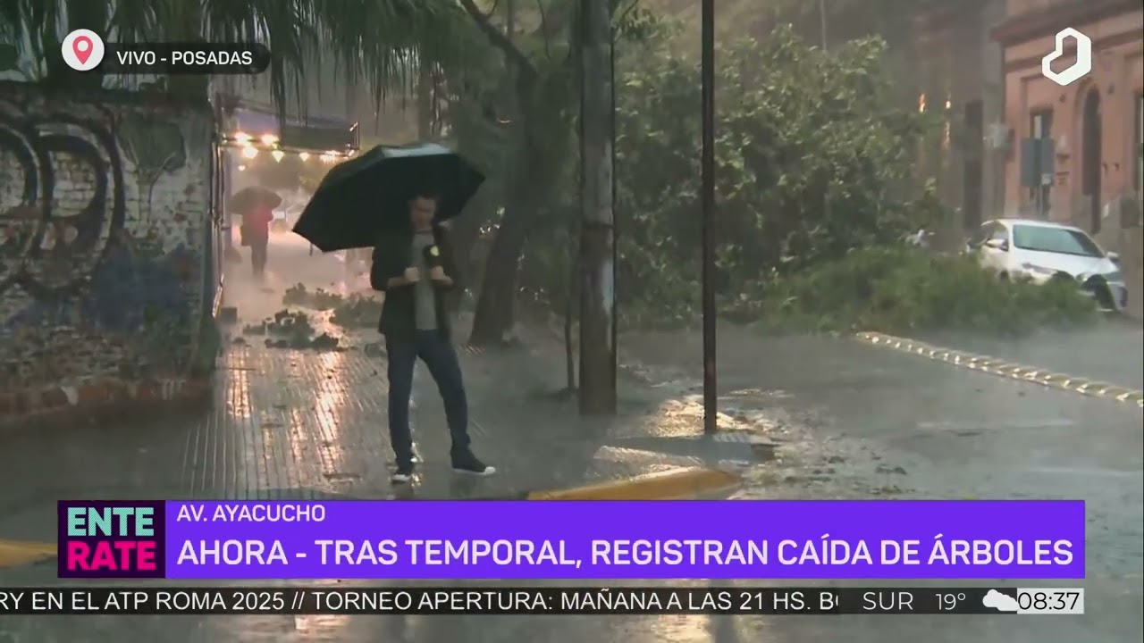 #Enterate: Ca&iacute;da de &aacute;rboles en el centro posade&ntilde;o tras el temporal