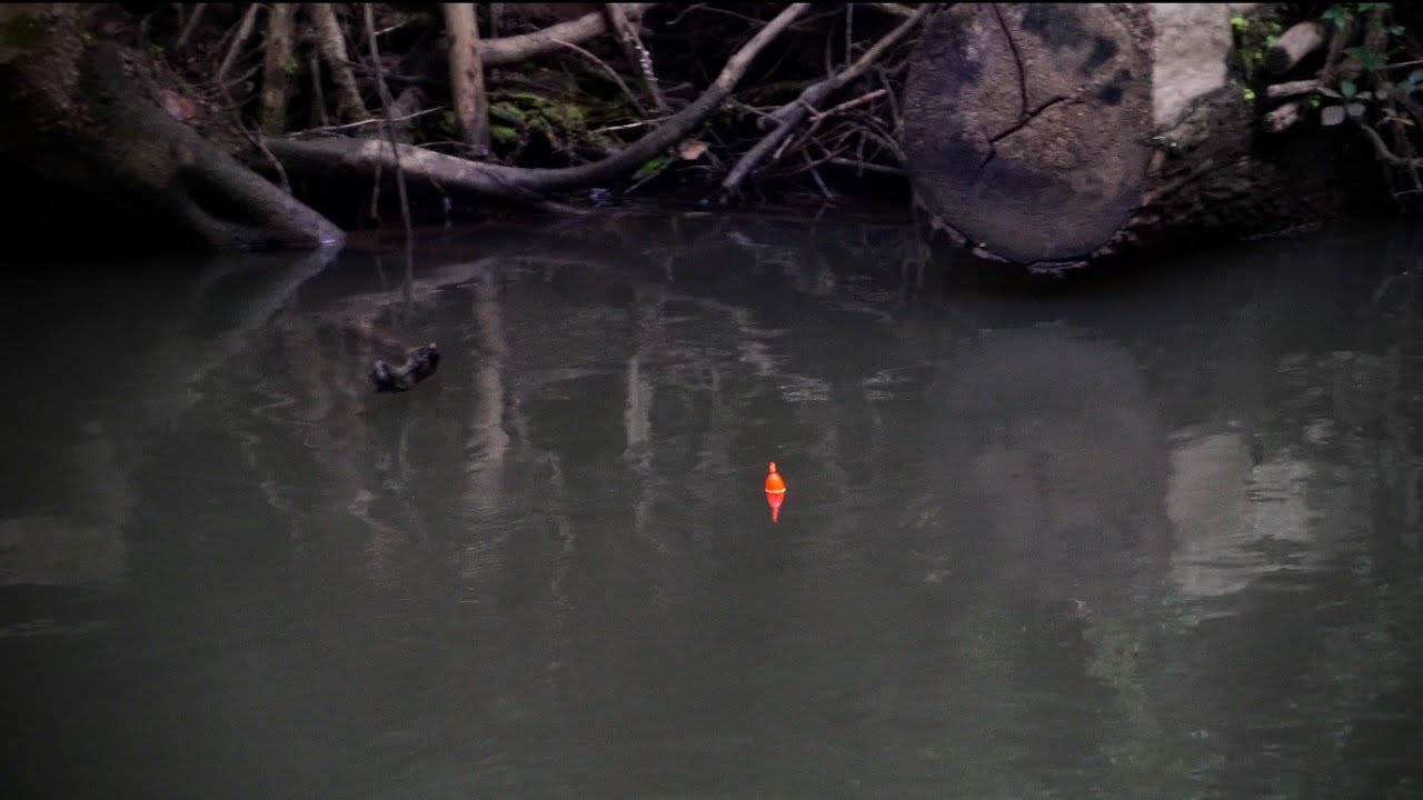 4K Steelhead BOBBER DOWNS — Эпическая летняя рыбалка на поплавок Skamania