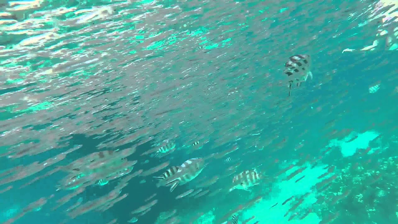 GoPro: Snorkeling El Gouna/Egypt
