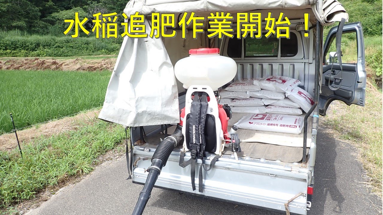 第４０３回　水稲への追肥作業