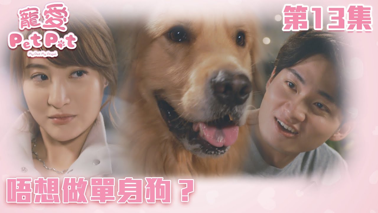 寵愛Pet Pet｜唔想做單身狗？｜周嘉洛｜林夏薇｜甜寵｜喜劇｜TVB港劇精華