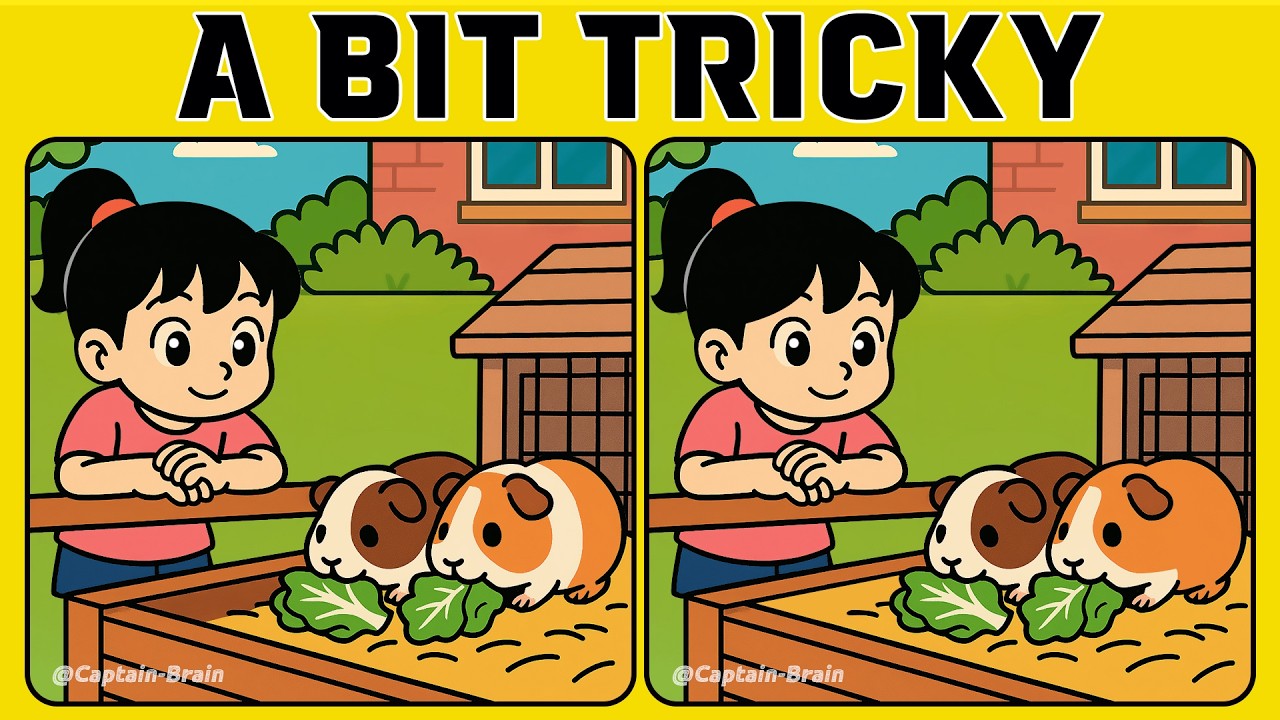 Are You Good Enough to Find All the Subtle Differences? (A Bit Tricky)