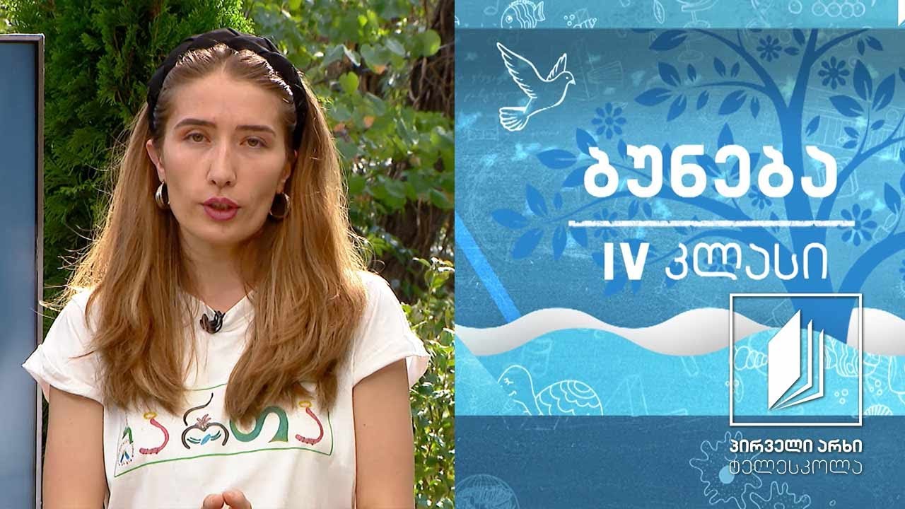 ბუნება, IV კლასი - ბაქტერიები #ტელესკოლა