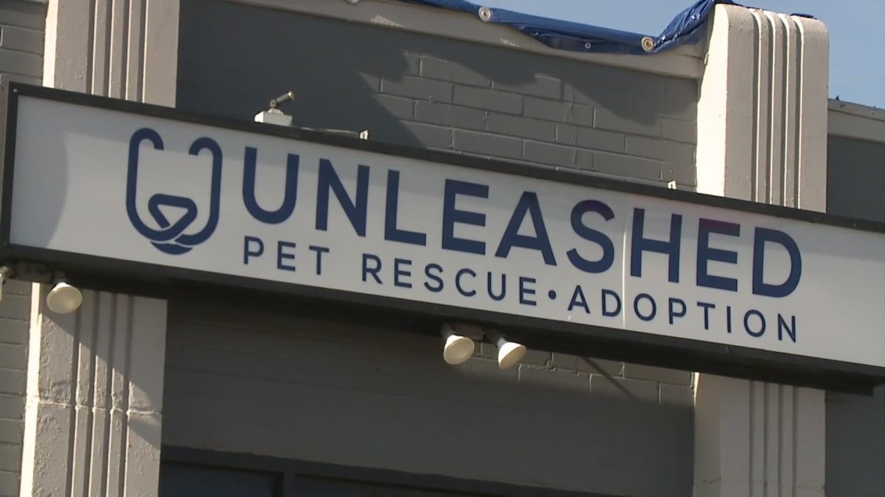 Kansas shelter Unleashed Pet Rescue under state investigation