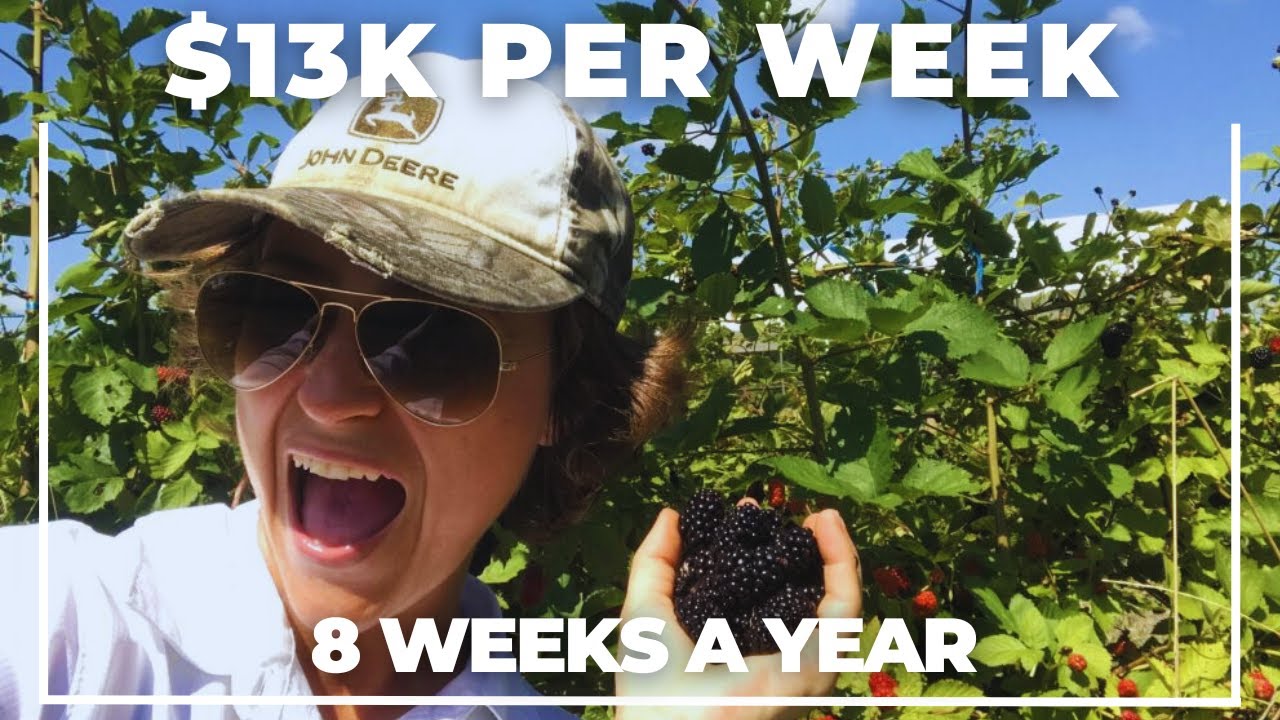 The Anti-Farmers Market: How 5 Acres Generated $151,000