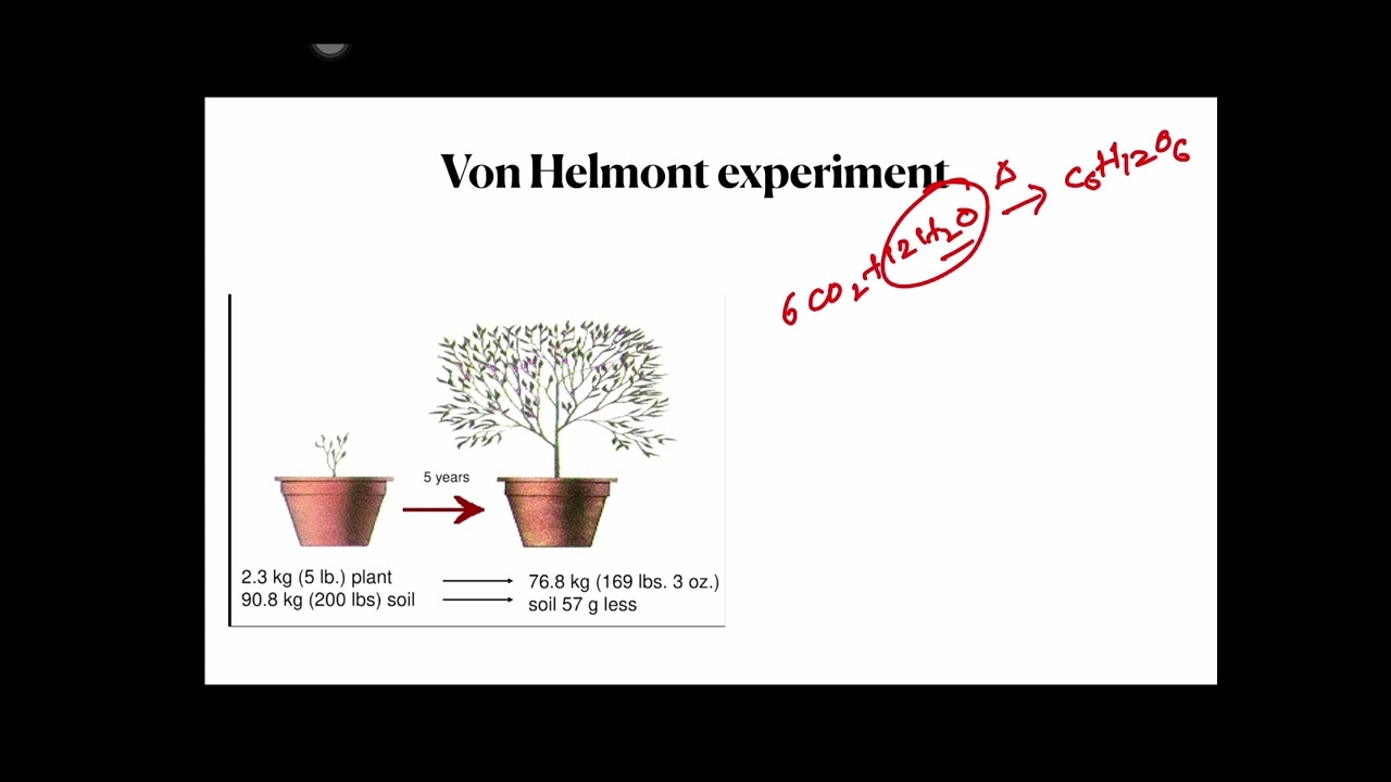 AP class 10 biology l chapter 1- Nutrition part-1 l