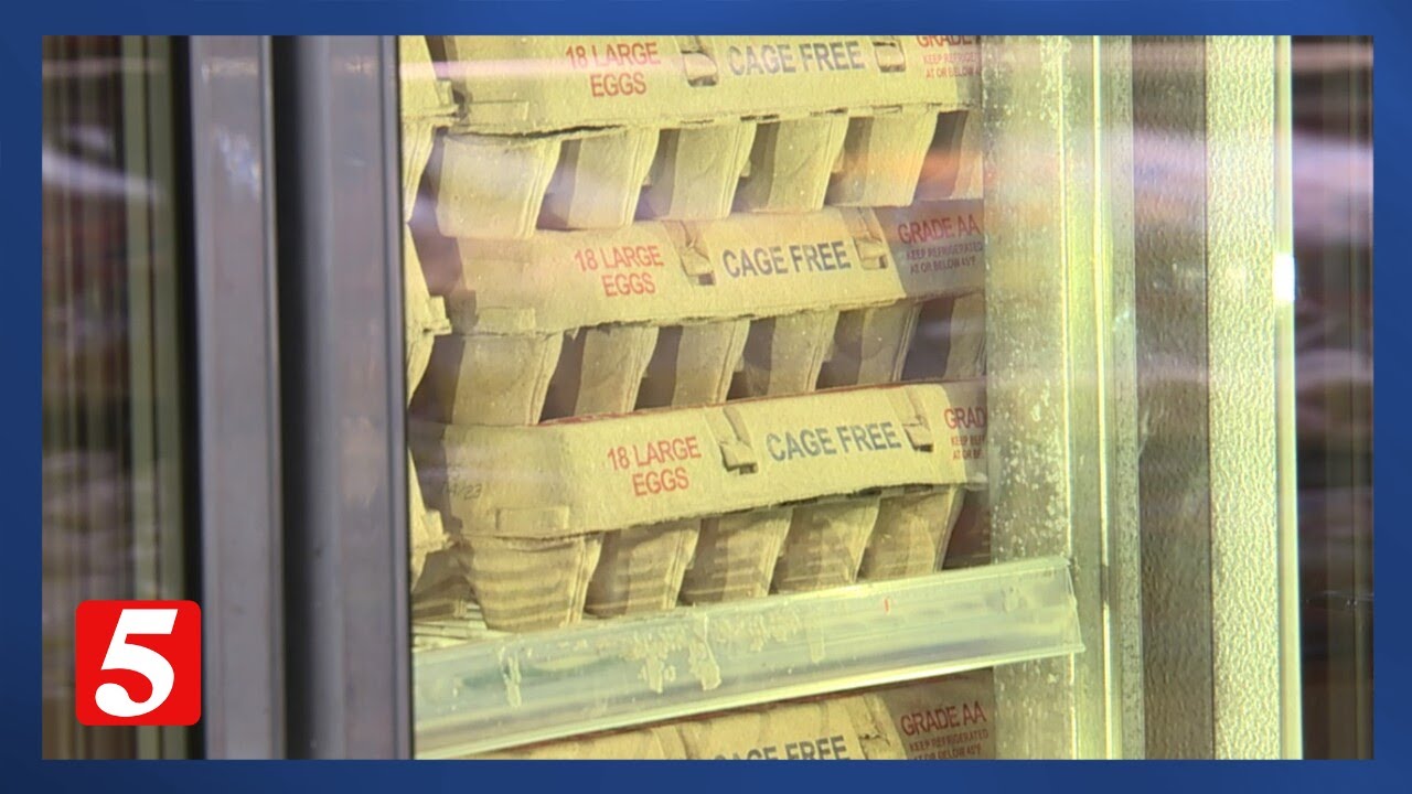 Rising egg prices: What to know about labels and finding the best deals